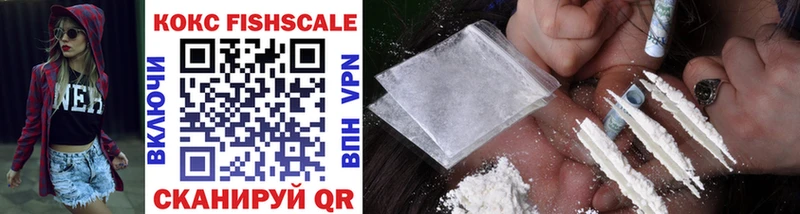 Cocaine FishScale  Купить  Сясьстрой 