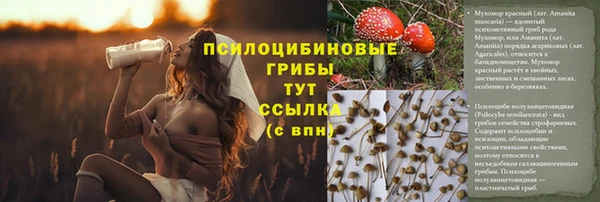 первитин Алексин