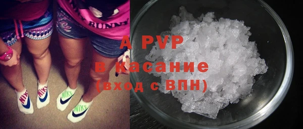 шишки Арсеньев
