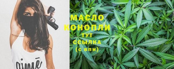 шишки Арсеньев