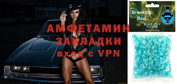 шишки Арсеньев