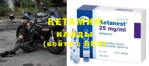 шишки Арсеньев