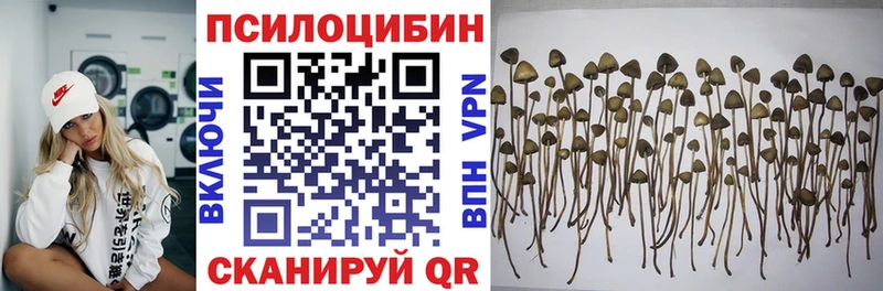 Купить где  Сясьстрой  Псилоцибиновые грибы мухоморы 