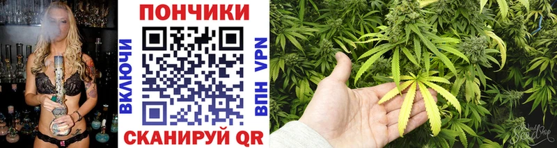 Бошки Шишки гибрид  Купить  Сясьстрой 